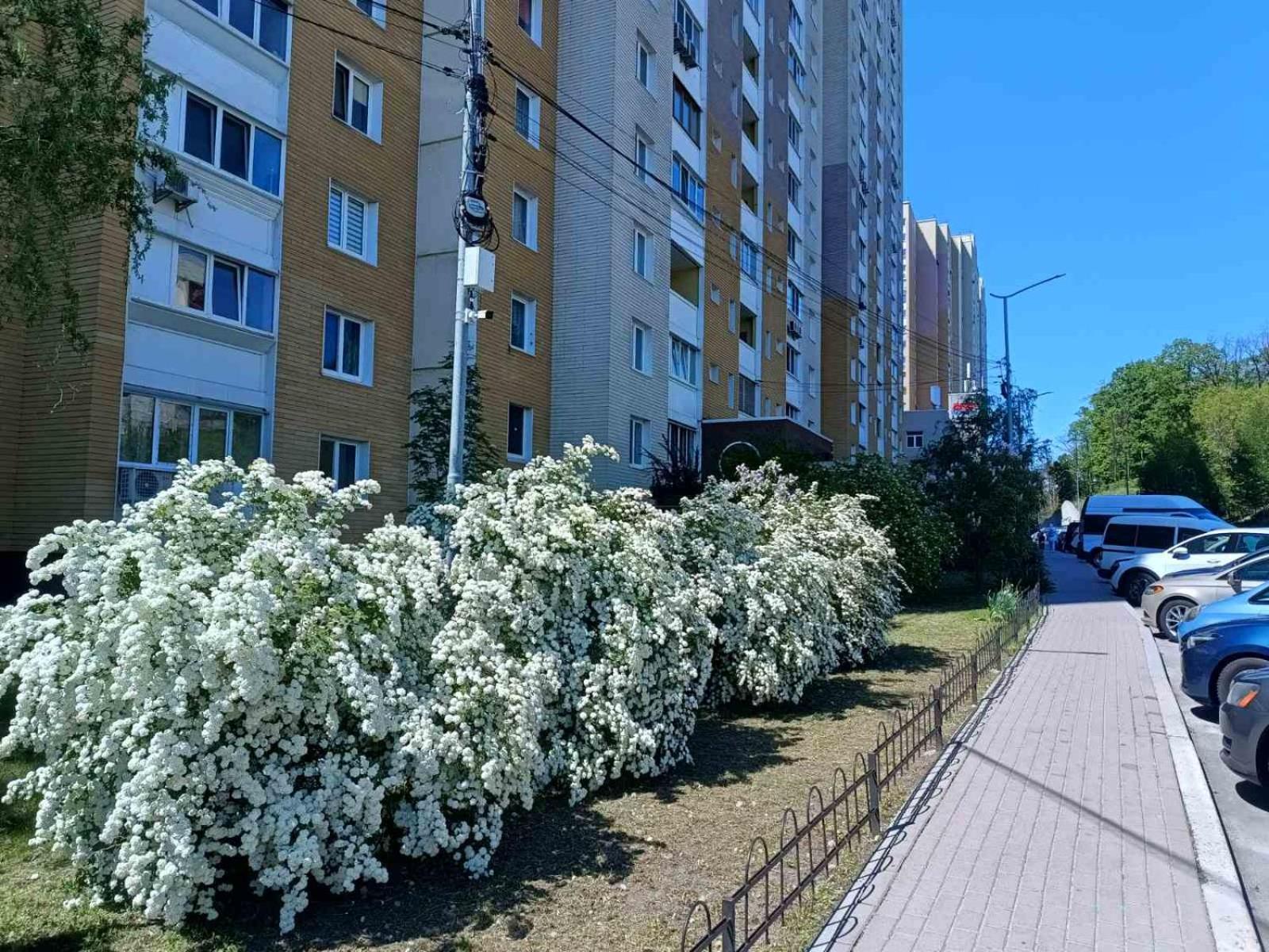 Uptown-Квартира Vyshhorod Eksteriør billede